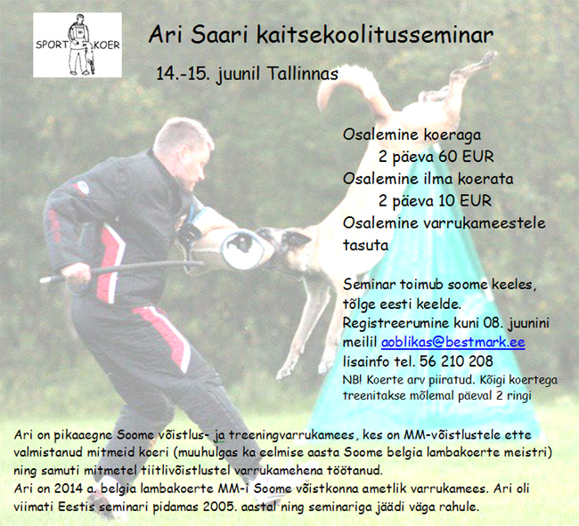 Ari Saari kaitseseminar